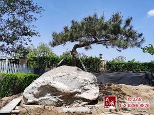 庭院擺放深夜福利APP导航有什麽講究